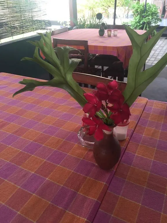 Bolonghes Homestay Negombo